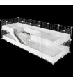 CagesCubes - CyC Deluxe TUNNEL-FUN-Käfig (2X6 + Loft 2X2 - Loft 2X2)