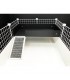 CagesCubes - LEVEL LOFT XL 2x1 - with ramp -