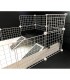 CagesCubes - LEVEL LOFT XL 2x1 - con 2 rampe -