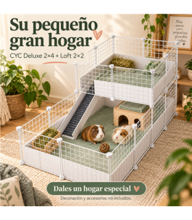 CagesCubes - CyC Deluxe 2X4 Cage con 2X2 Loft