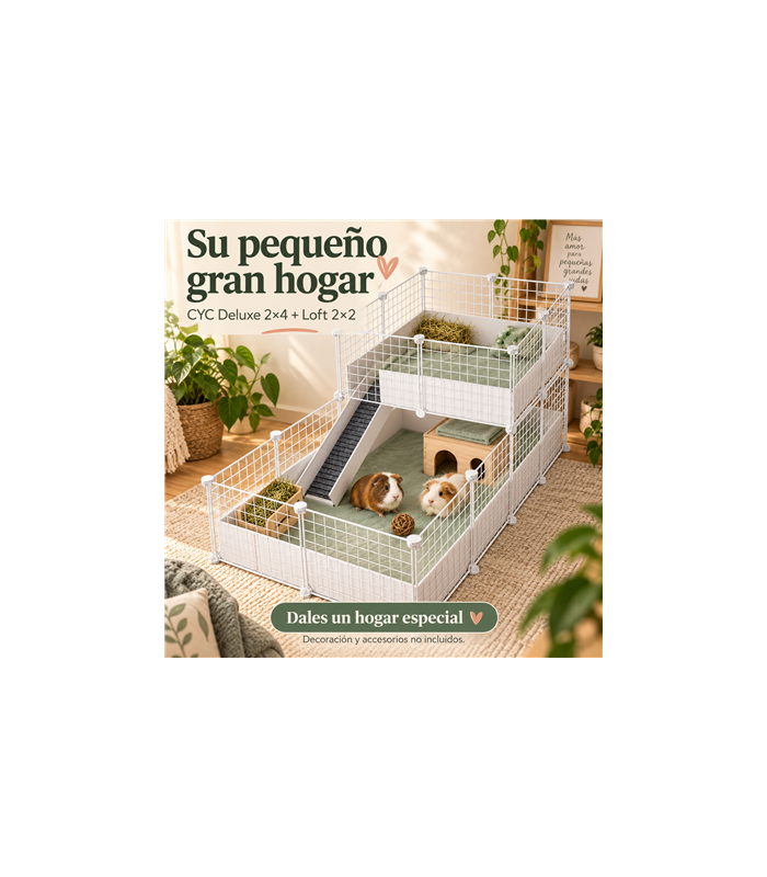 CagesCubes - Jaula CyC Deluxe 2X4 con Loft 2X2